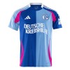 Maillot de Supporter Schalke 04 Special 2024-25 Pour Homme